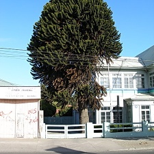 Поездка Сергея Червинко  в Чили, Аргентину зимой 2007