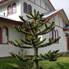 Поездка Сергея Червинко  в Чили, Аргентину зимой 2007