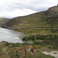 Поездка Сергея Червинко  в Чили, Аргентину зимой 2007