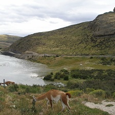 Поездка Сергея Червинко  в Чили, Аргентину зимой 2007