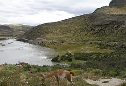 Поездка Сергея Червинко  в Чили, Аргентину зимой 2007
