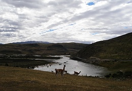 Поездка Сергея Червинко  в Чили, Аргентину зимой 2007