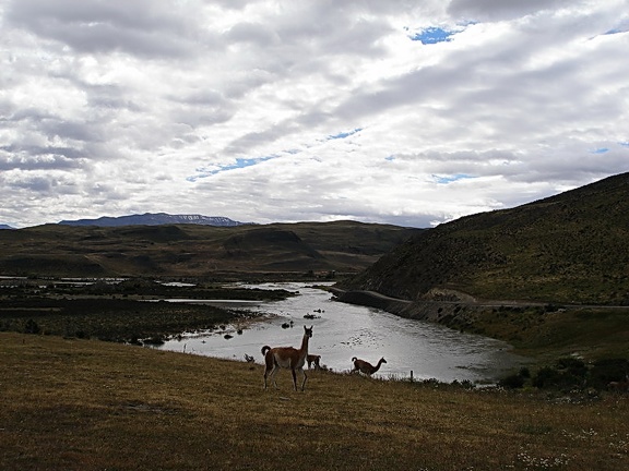 Поездка Сергея Червинко  в Чили, Аргентину зимой 2007