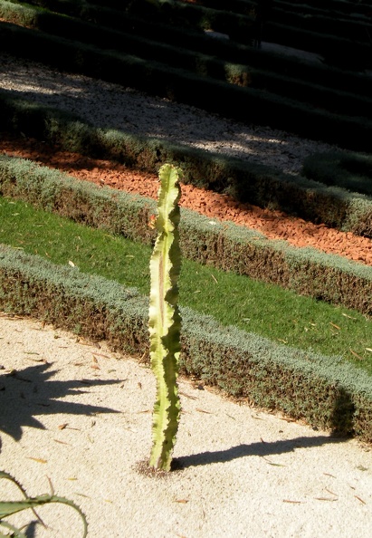 5.JPG