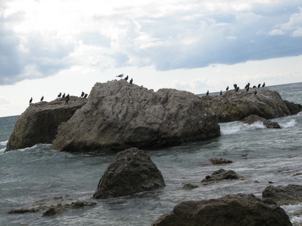 Поездка украинских кактусоводов в Крым, сентябрь 2008