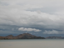 Поездка украинских кактусоводов в Крым, сентябрь 2008