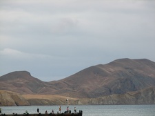 Поездка украинских кактусоводов в Крым, сентябрь 2008