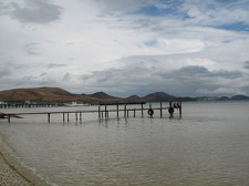 Поездка украинских кактусоводов в Крым, сентябрь 2008