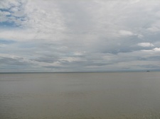 Поездка украинских кактусоводов в Крым, сентябрь 2008