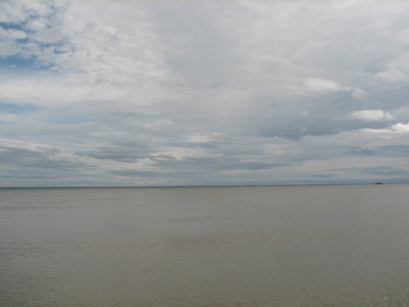 Поездка украинских кактусоводов в Крым, сентябрь 2008