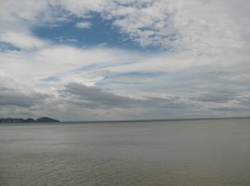 Поездка украинских кактусоводов в Крым, сентябрь 2008