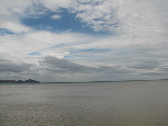 Поездка украинских кактусоводов в Крым, сентябрь 2008