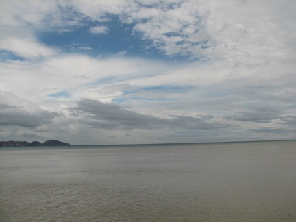 Поездка украинских кактусоводов в Крым, сентябрь 2008