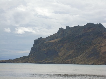 Поездка украинских кактусоводов в Крым, сентябрь 2008