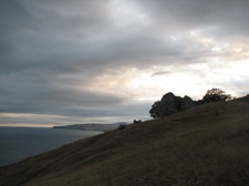 Поездка украинских кактусоводов в Крым, сентябрь 2008