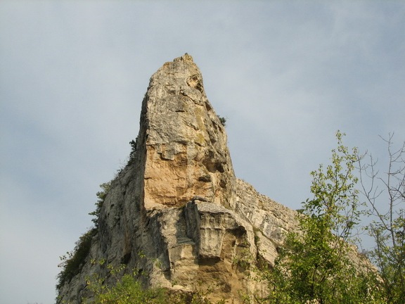 Поездка украинских кактусоводов в Крым, сентябрь 2008