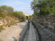 Поездка украинских кактусоводов в Крым, сентябрь 2008