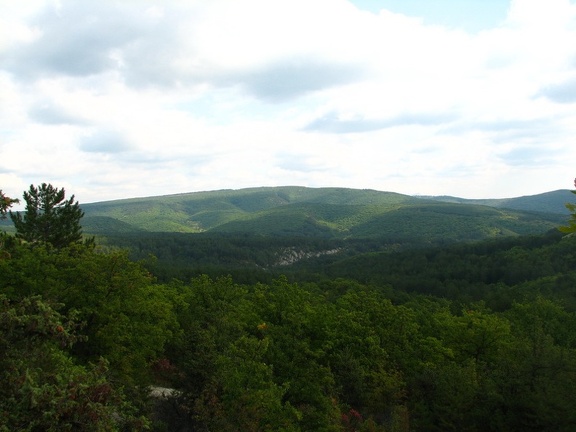 Поездка украинских кактусоводов в Крым, сентябрь 2008