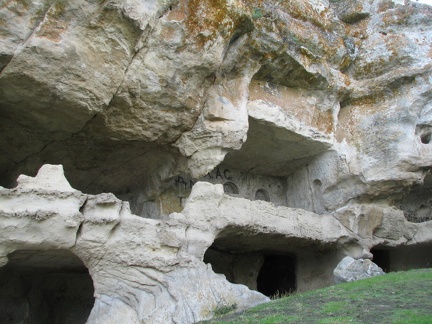 Поездка украинских кактусоводов в Крым, сентябрь 2008