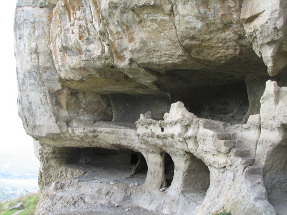 Поездка украинских кактусоводов в Крым, сентябрь 2008