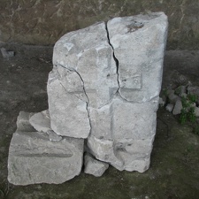 Поездка украинских кактусоводов в Крым, сентябрь 2008