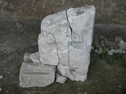 Поездка украинских кактусоводов в Крым, сентябрь 2008