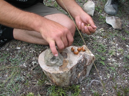 Поездка украинских кактусоводов в Крым, сентябрь 2008