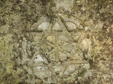 Поездка украинских кактусоводов в Крым, сентябрь 2008