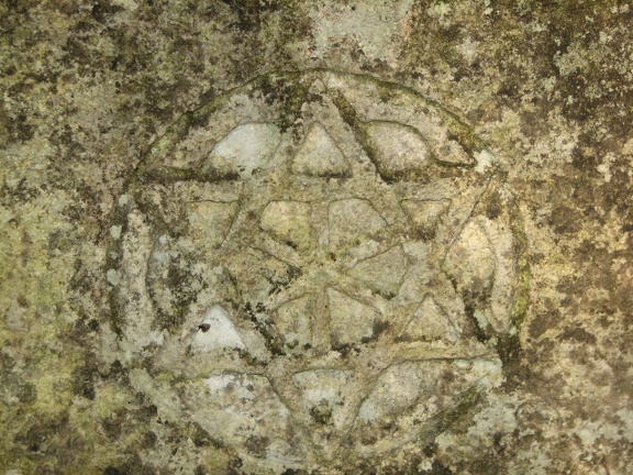 Поездка украинских кактусоводов в Крым, сентябрь 2008