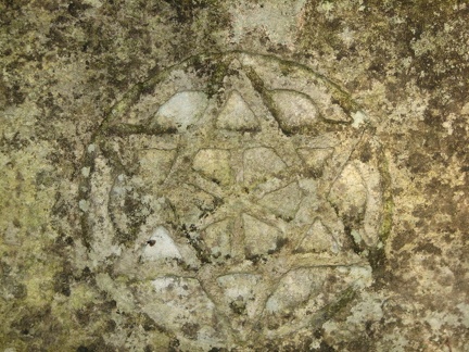 Поездка украинских кактусоводов в Крым, сентябрь 2008