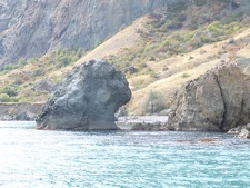 Поездка украинских кактусоводов в Крым, сентябрь 2008