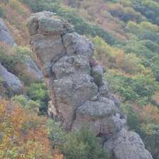 Поездка украинских кактусоводов в Крым, сентябрь 2008