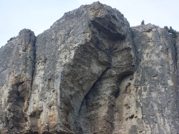 Поездка украинских кактусоводов в Крым, сентябрь 2008 (3541 відвідувань) Фото Сергея Червинко (Винница)
Поездка украинских кактусоводов в Крым, сентябрь 2008