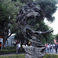 Поездка Оксаны Руденко в Мексику, июнь 2010