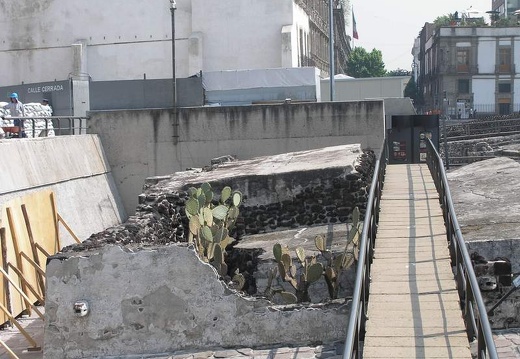 Поездка Оксаны Руденко в Мексику, июнь 2010