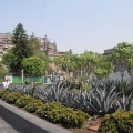 Поездка Оксаны Руденко в Мексику, июнь 2010