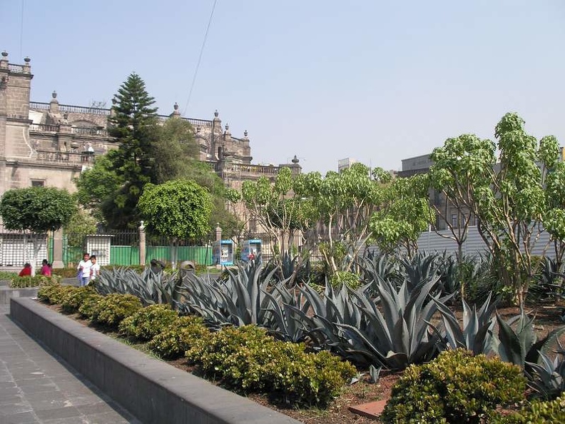 Mexica_14.JPG