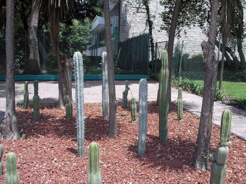 Mexica_34.JPG
