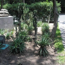 Поездка Оксаны Руденко в Мексику, июнь 2010