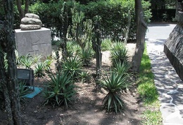 Поездка Оксаны Руденко в Мексику, июнь 2010