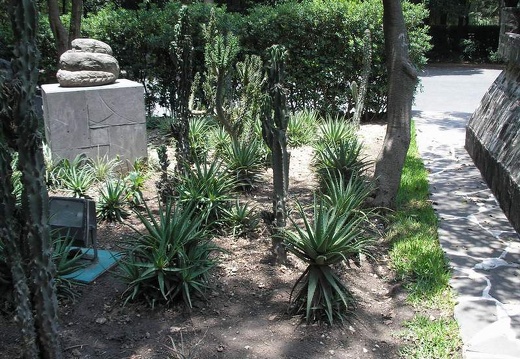 Поездка Оксаны Руденко в Мексику, июнь 2010