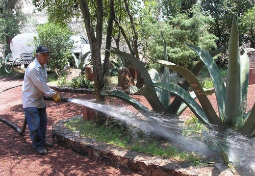Поездка Оксаны Руденко в Мексику, июнь 2010