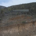Поездка Оксаны Руденко в Мексику, июнь 2010