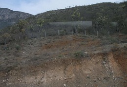 Поездка Оксаны Руденко в Мексику, июнь 2010