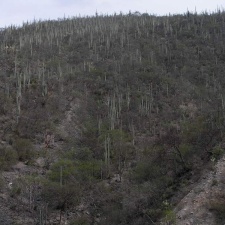 Поездка Оксаны Руденко в Мексику, июнь 2010