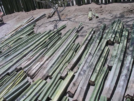 Поездка Оксаны Руденко в Мексику, июнь 2010