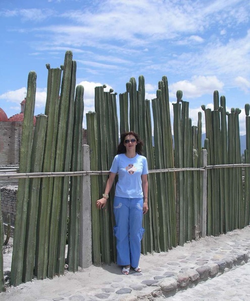 07_mexica3.JPG
