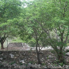 Поездка Оксаны Руденко в Мексику, июнь 2010