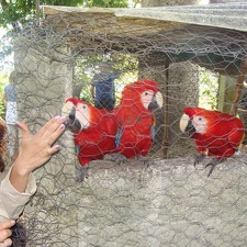 Поездка Оксаны Руденко в Мексику, июнь 2010 