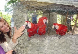 Поездка Оксаны Руденко в Мексику, июнь 2010 